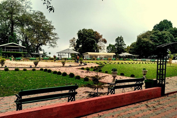 Business Homestay